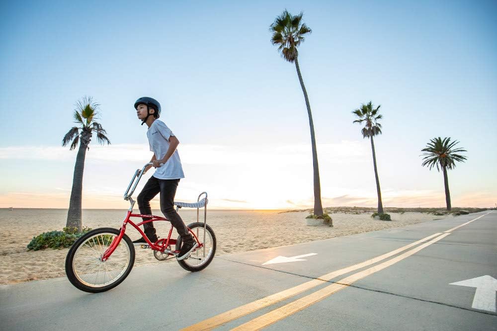 Schwinn Sting-Ray Cruiser Bike, 20-Inch Wheels, Red